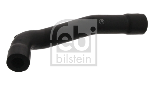 Hose, crankcase ventilation
